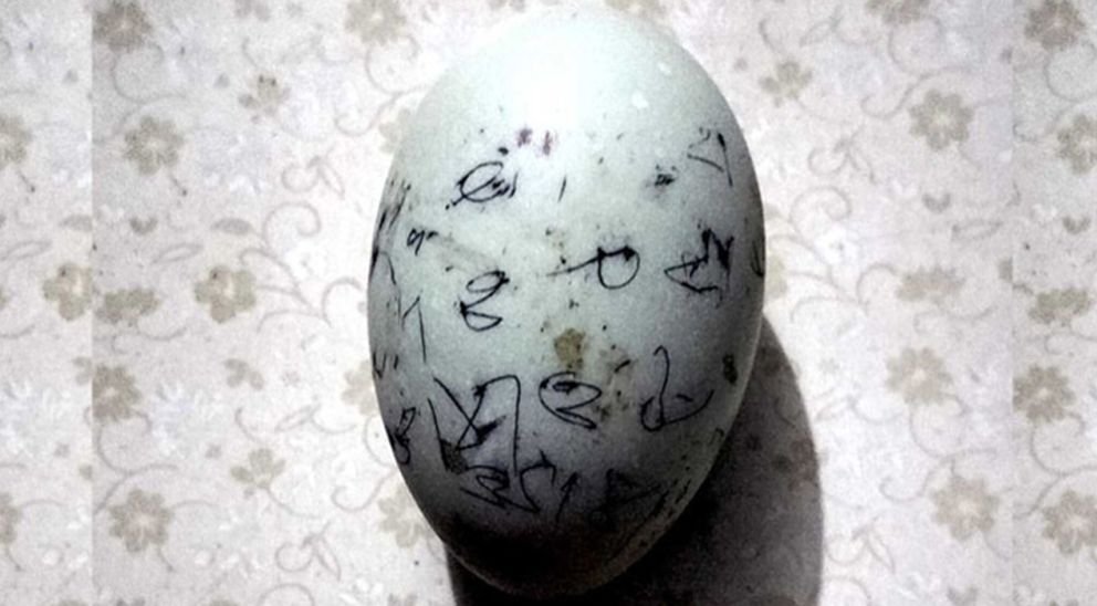 শ্রীমঙ্গলে নিলামে এক ডিম বিক্রি হলো ২২ হাজার টাকায়!