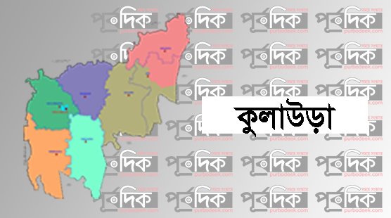 কুলাউড়ায় অবৈধ অনুপ্রবেশকালে বিজিবির হাতে আটক ৫