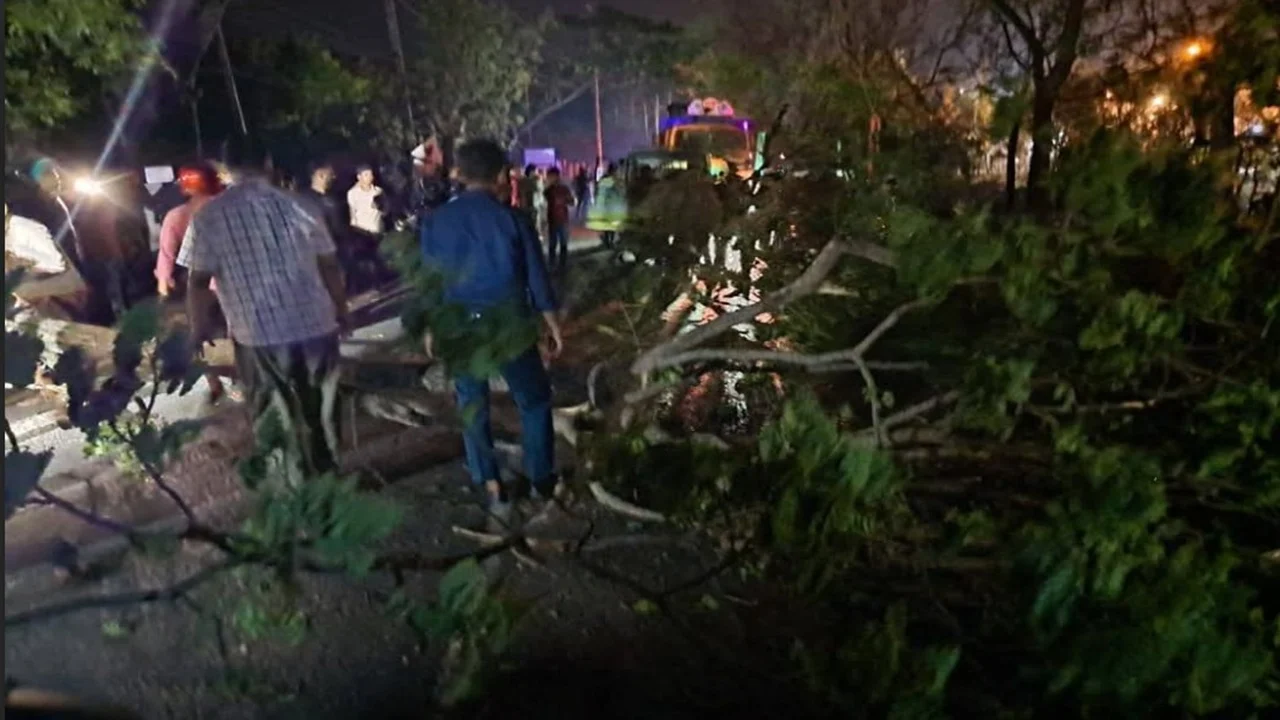 ঢাকা-সিলেট আঞ্চলিক মহাসড়কে গাছ ফেলে ডাকাতি