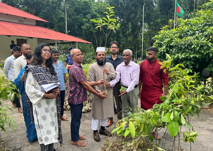 পরিবেশ সুরক্ষায় মৌলভীবাজারে এক লক্ষ গাছের চারা বিতরণ কর্মসূচি শুরু 