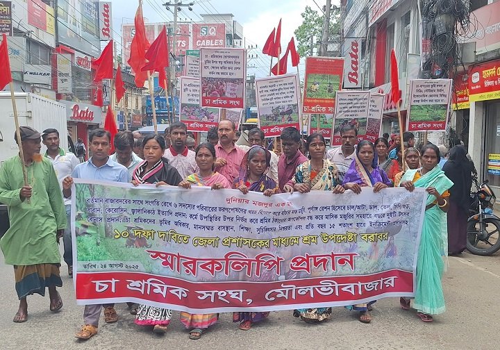 বাঁচার মতো মজুরিসহ ১০ দফা দাবি চা-শ্রমিকদের