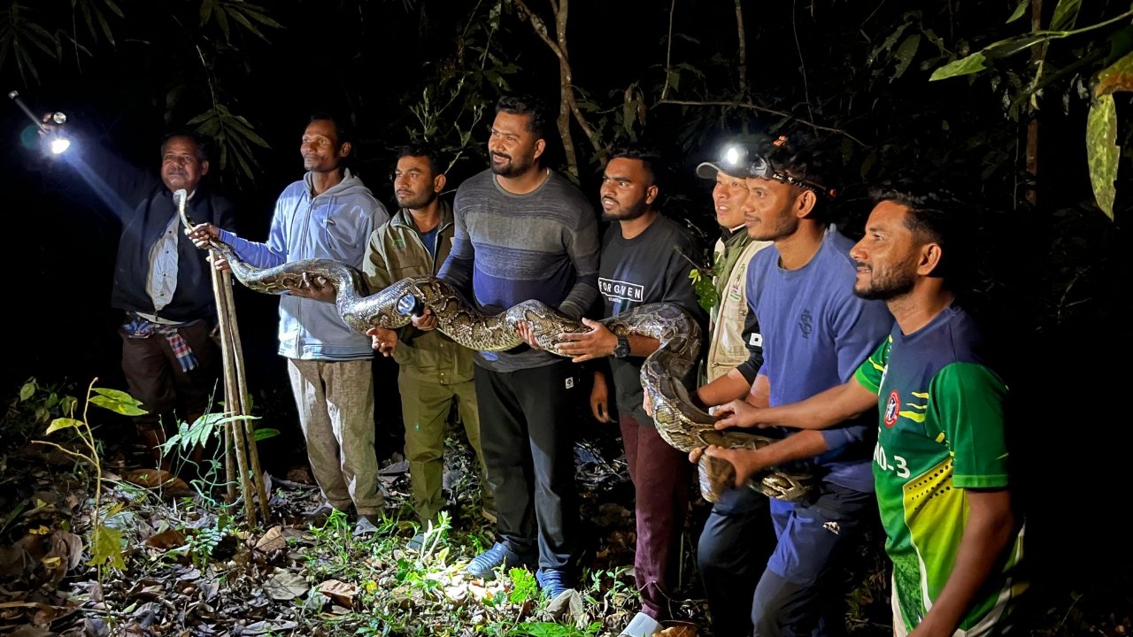 কমলগঞ্জে অজগর উদ্ধার, রাতে লাউয়াছড়ায় অবমুক্ত