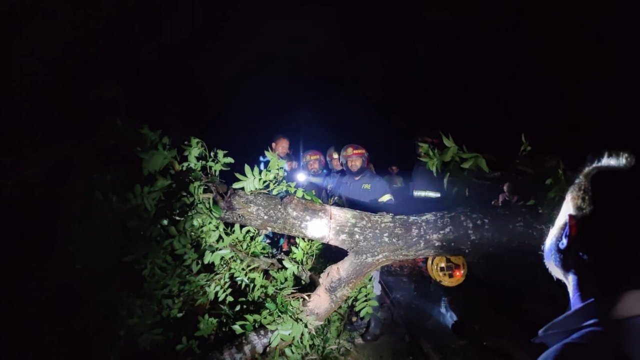 কালবৈশাখীর তাণ্ডবে শ্রীমঙ্গলে বিদ্যুৎ লাইনের ব্যাপক ক্ষতি, নিরলসভাবে কাজ করছে কর্মীরা