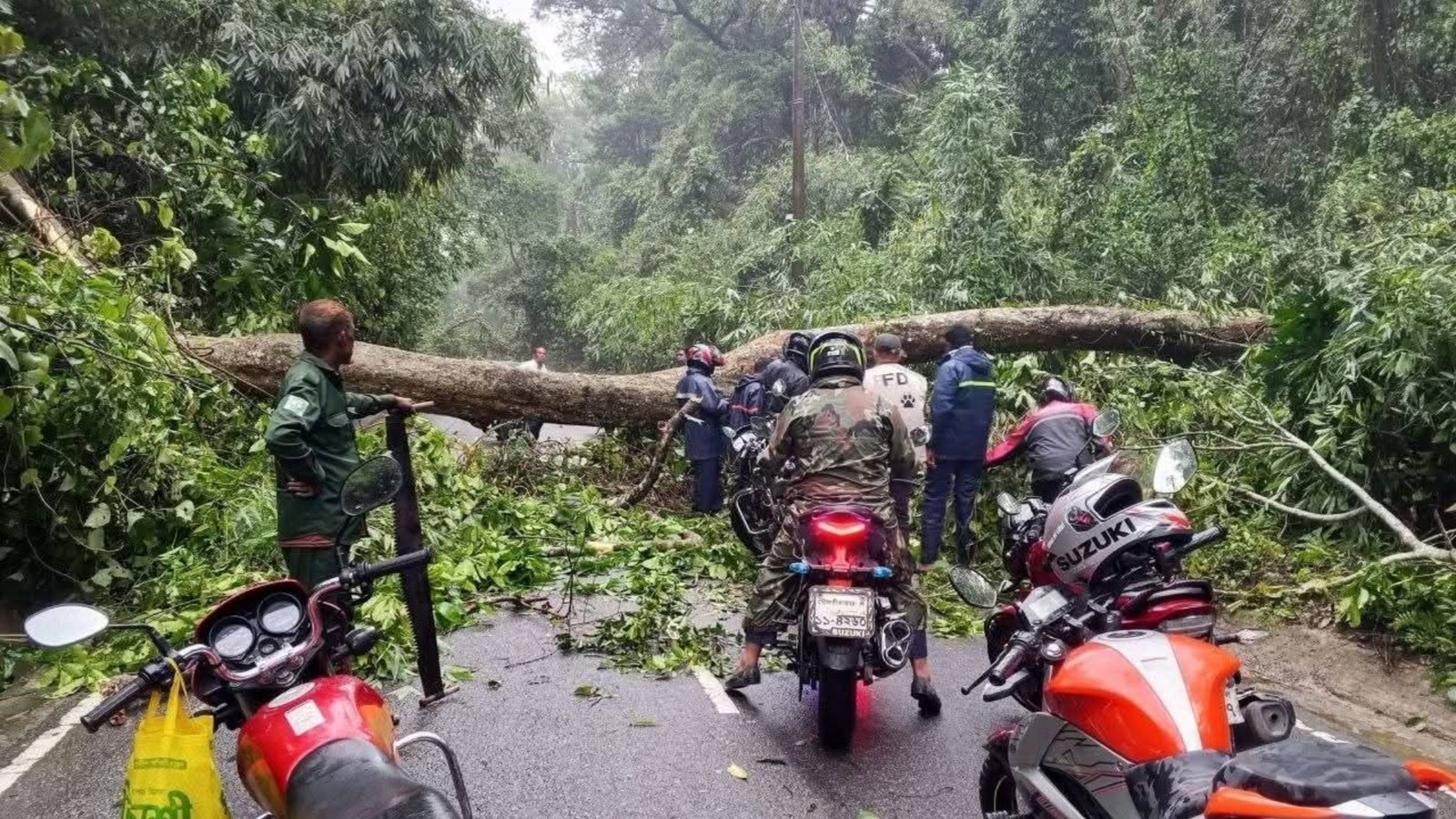 কালবৈশাখী ঝড়ে লাউয়াছড়া বনে গাছ উপড়ে সড়ক যোগাযোগ বিচ্ছিন্ন