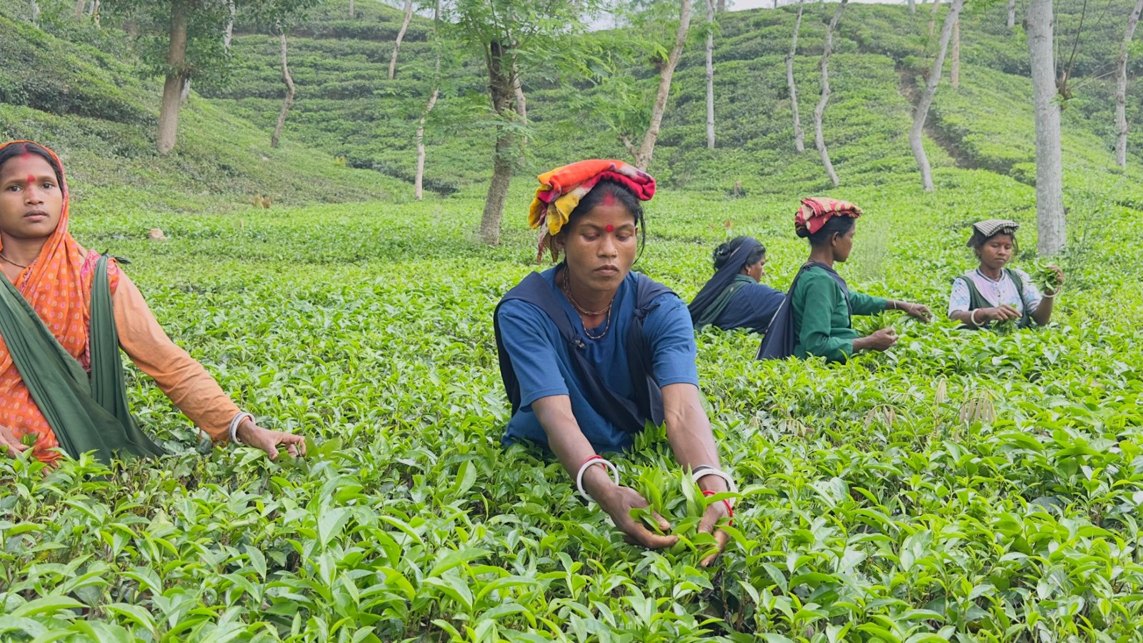 চায়ের কাপেই গল্প, সংগ্রাম আর সম্ভাবনা