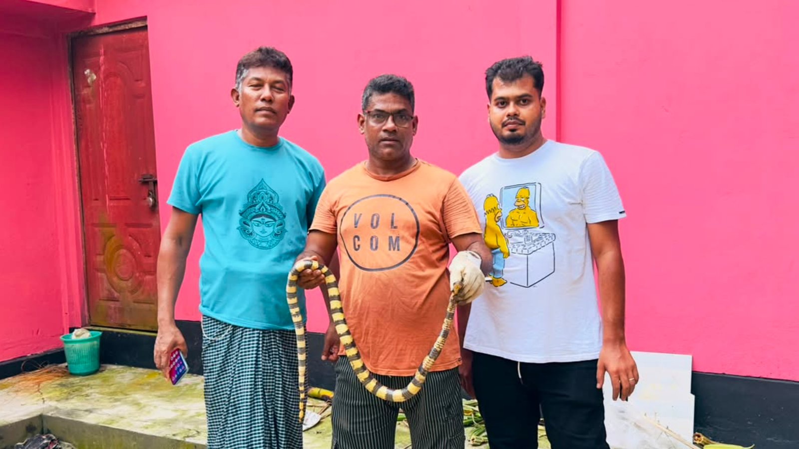 শ্রীমঙ্গলে এক সপ্তাহ ধরে জালে আটকে থাকা বিষাক্ত শঙ্খিনী সাপ উদ্ধার, বন বিভাগের কাছে হস্তান্তর