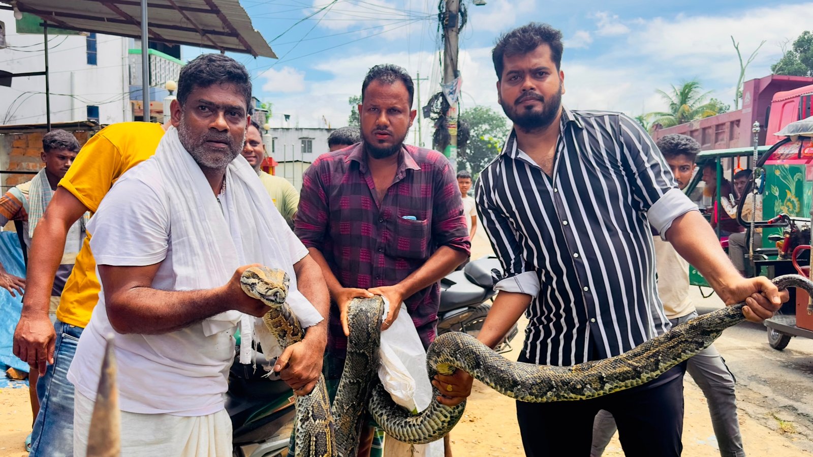 শ্রীমঙ্গলে লোকালয় থেকে ১৮ ফুট লম্বা, ৩৫ কেজি ওজনের বিশাল অজগর উদ্ধার