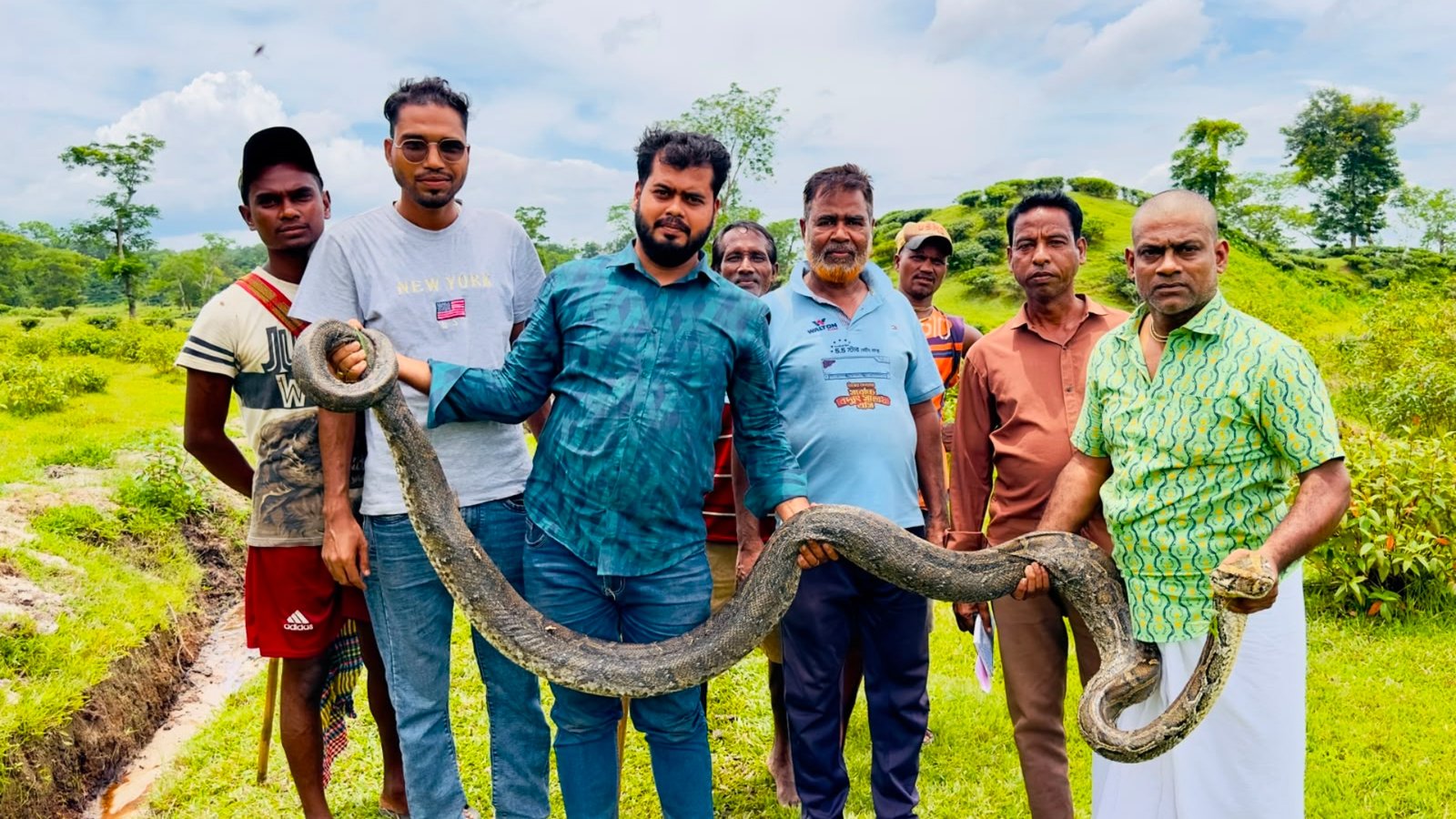 বিশ্ব প্রকৃতি সংরক্ষণ দিবসে শ্রীমঙ্গলে ১৬ ফুট লম্বা অজগর উদ্ধার