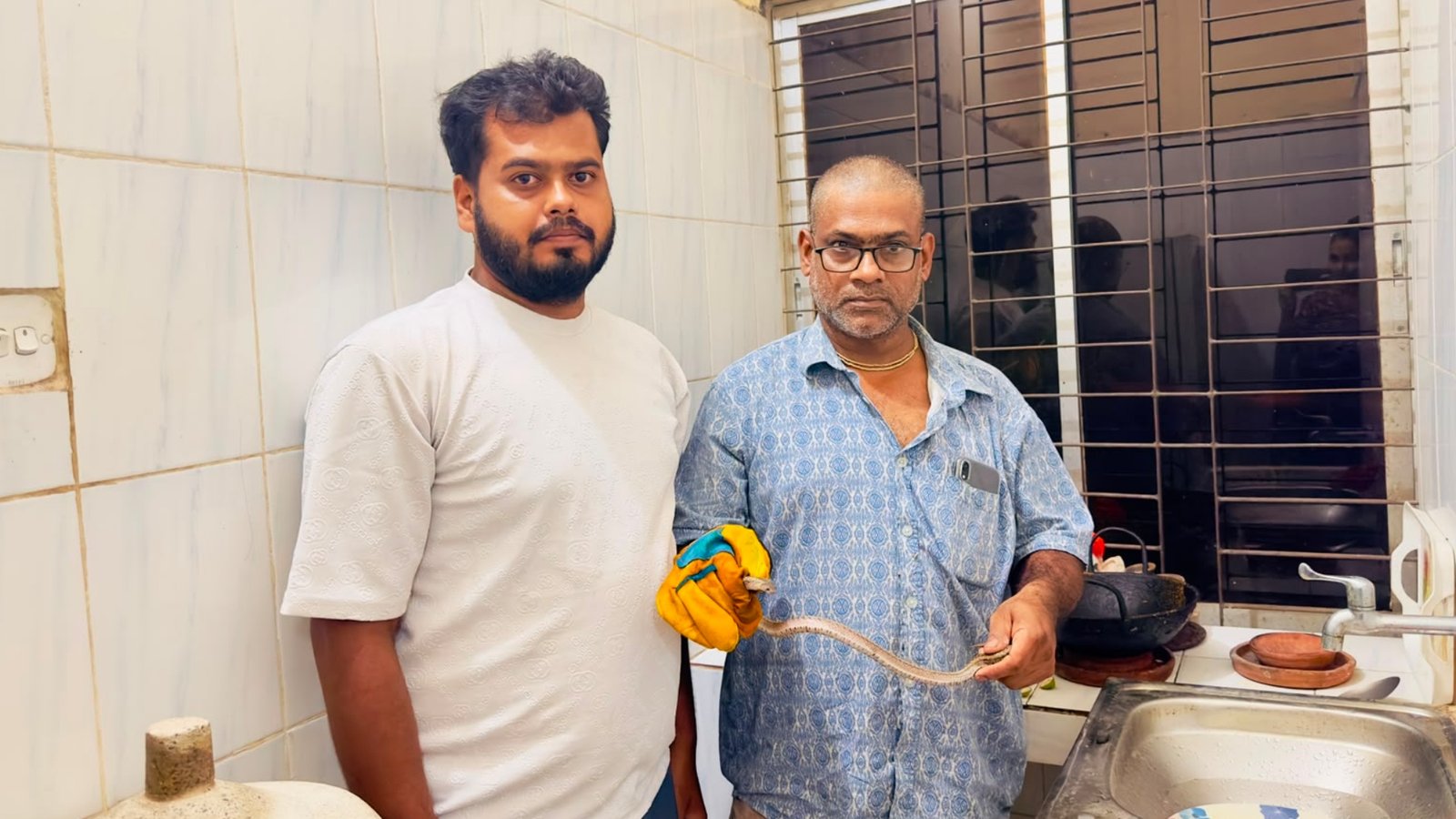শ্রীমঙ্গলে এশিয়ার বিরল ক্যান্টর কুকরি সাপ উদ্ধার, বন বিভাগের কাছে হস্তান্তর