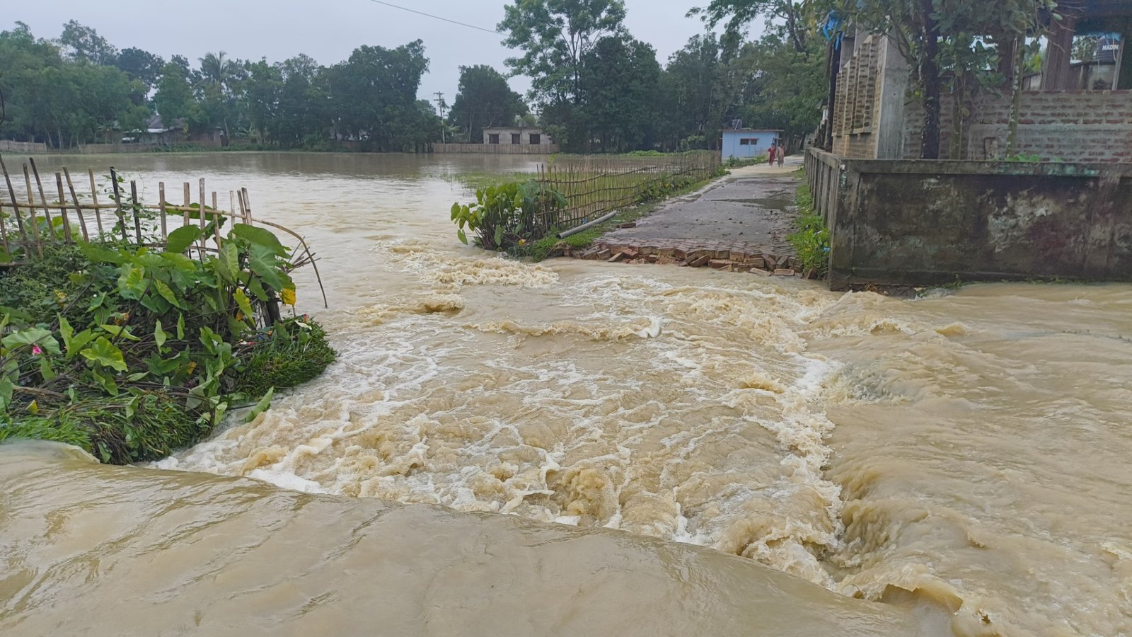 নদী ভাঙনে মৌলভীবাজারে ১০ হাজার মানুষ পানিবন্দী, তলিয়ে গেছে ফসলি জমি