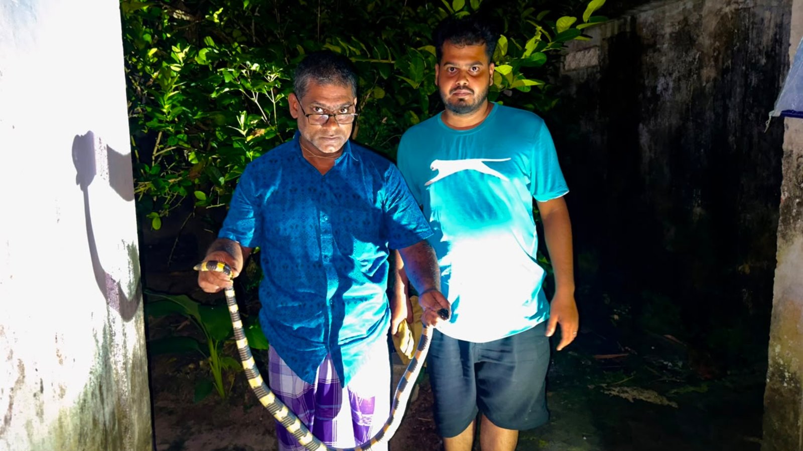 শ্রীমঙ্গলে আবাসিক এলাকায় শঙ্খিনী সাপ