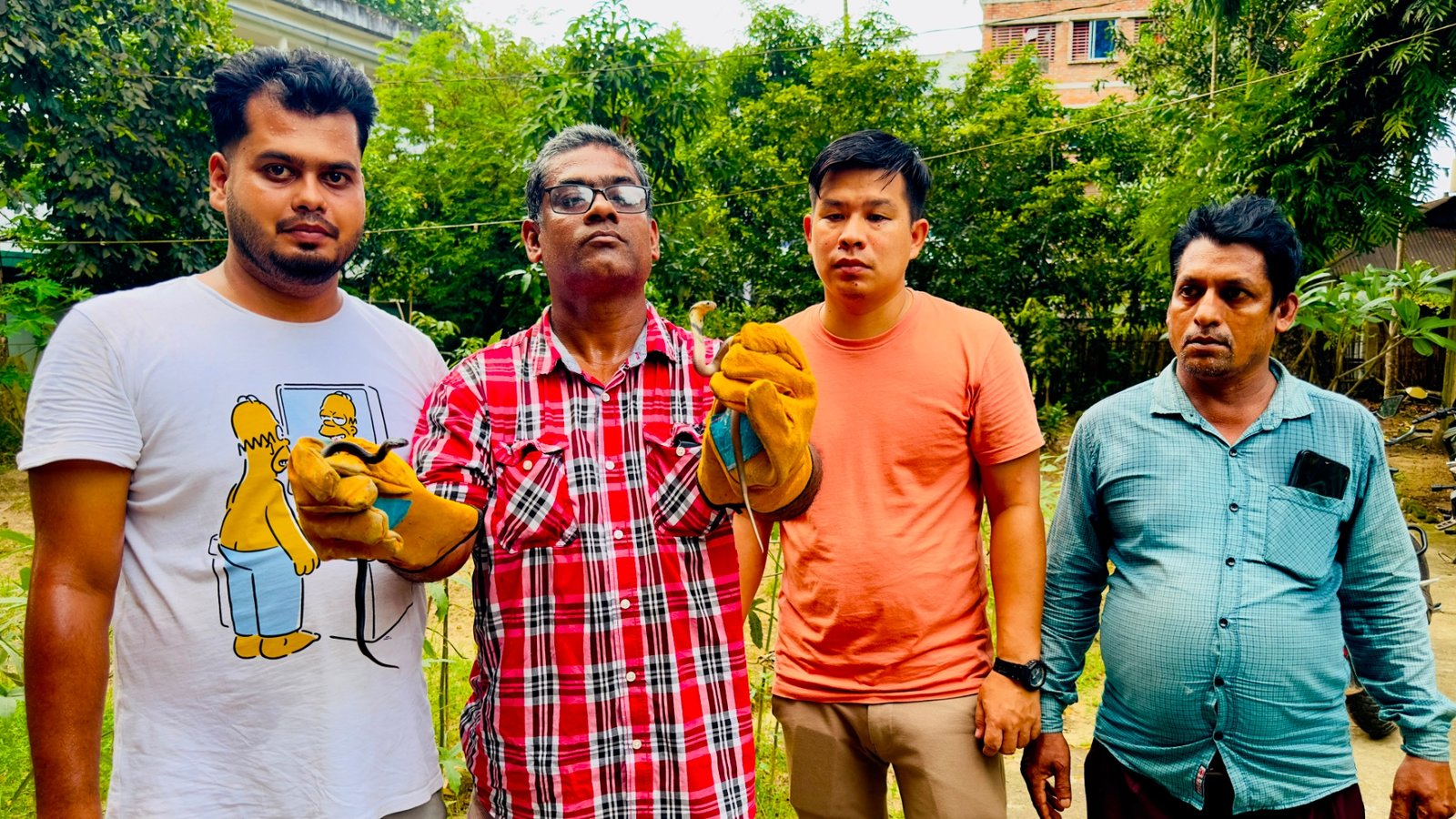 কমলগঞ্জে সিঁড়ির নিচে ৫ কোবরা শাবক