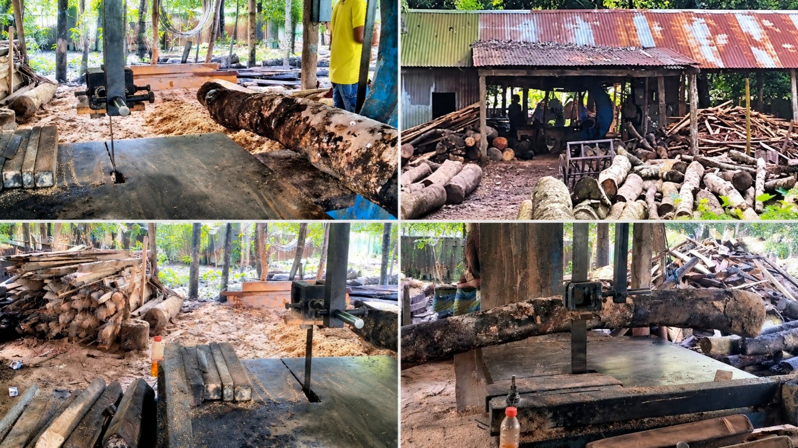 নিষেধাজ্ঞা অমান্য করে চলছে স-মিল, নেই কোনো অনুমোদন