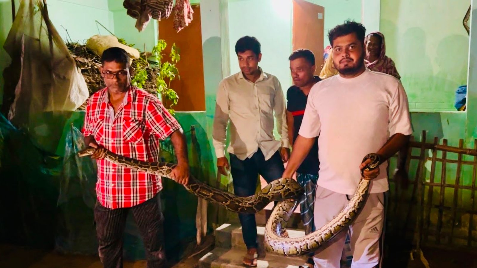 শ্রীমঙ্গলে খাটের নিচে ১৬ ফুটের অজগর, আতঙ্কে পরিবার
