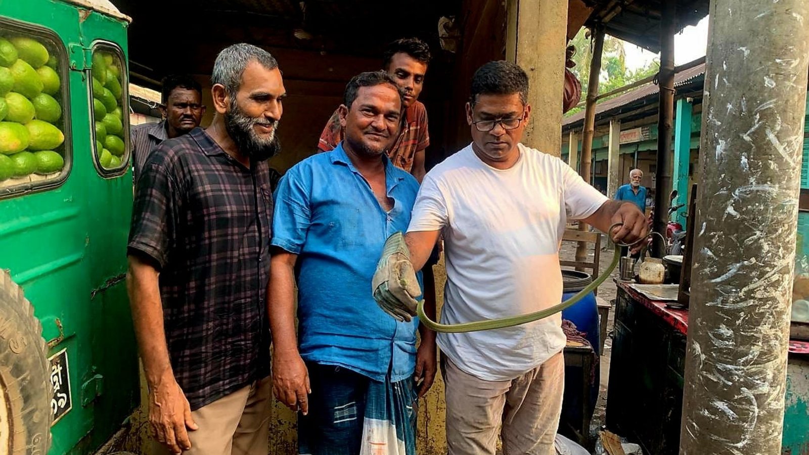 চায়ের দোকানের ক্যাশ বাক্সে সবুজ ফণিমনসা সাপ