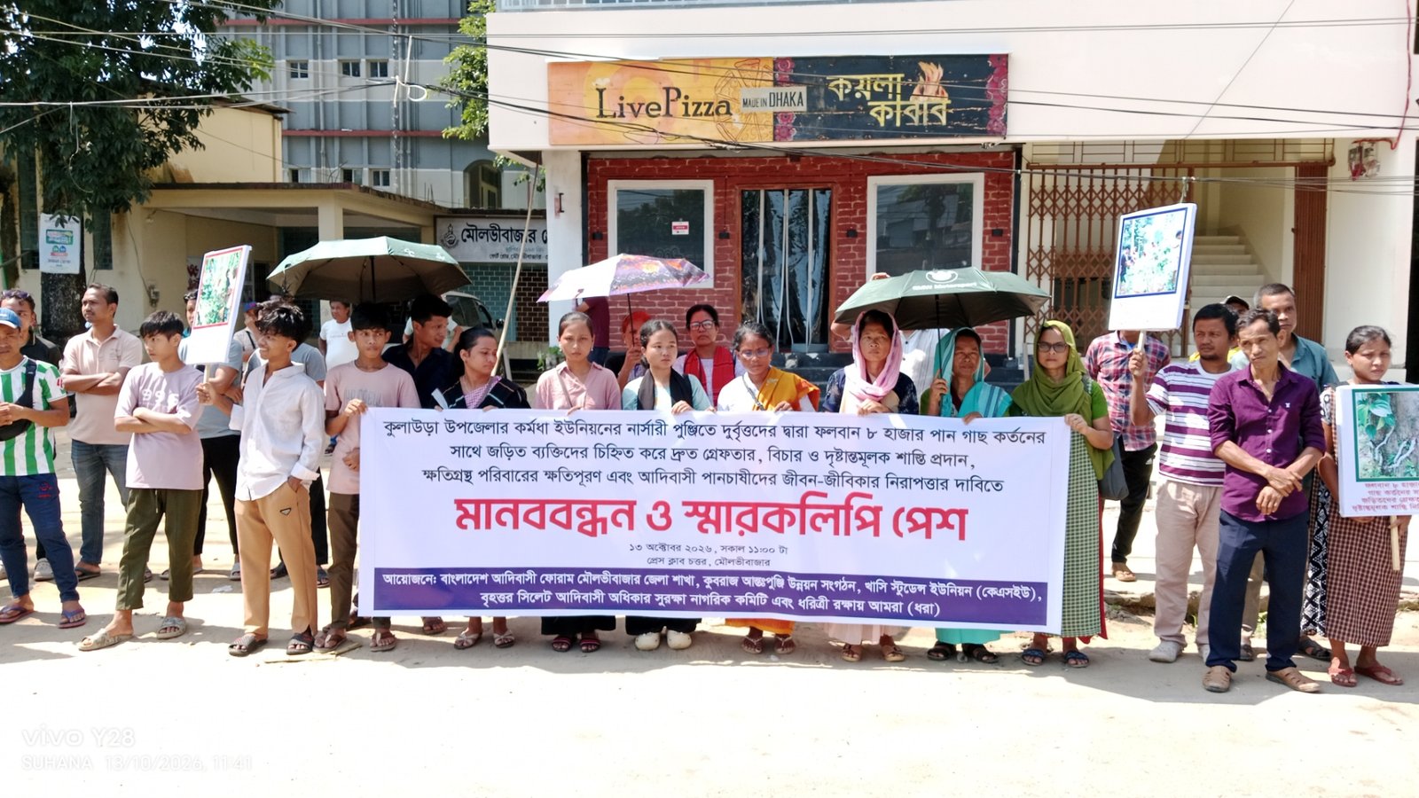 পানগাছ কাটার প্রতিবাদে মৌলভীবাজারে মানববন্ধন