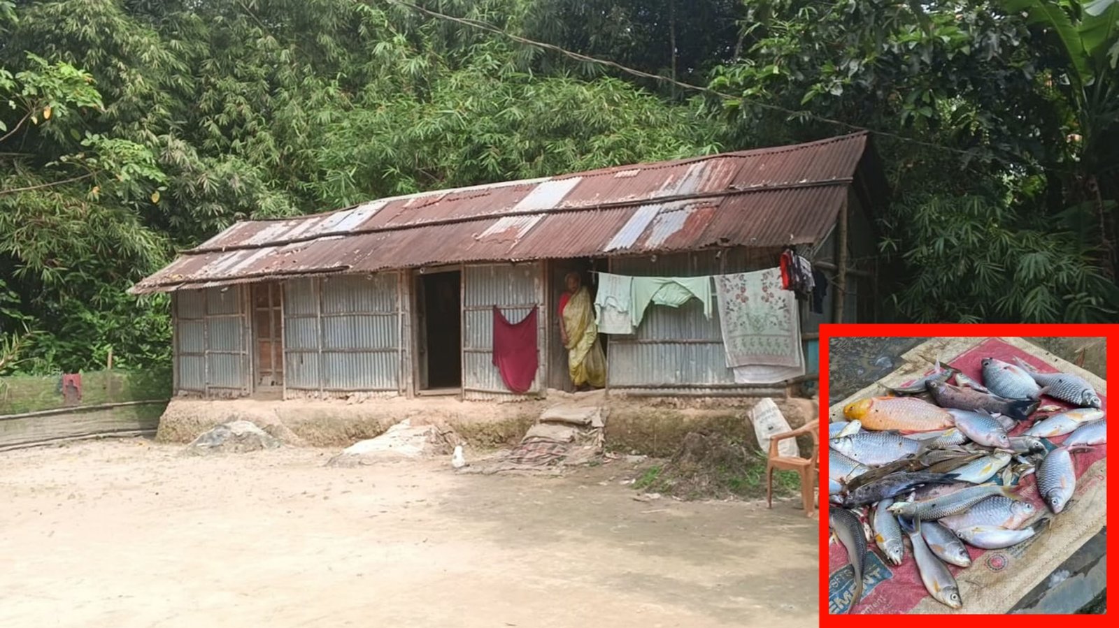 কমলগঞ্জে জমি বিরোধে বিপাকে ৯ সদস্যের পরিবার